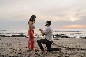 The Bohemian  Lagarto