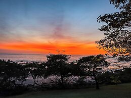 The Bohemian  Lagarto