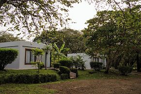 The Bohemian  Lagarto