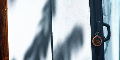 The Bohemian  Lagarto