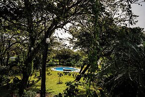 The Bohemian  Lagarto