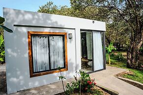 The Bohemian  Lagarto