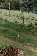 Refugio Marincek - Gonçalves - MG