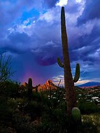 Camelback #102 Phoenix