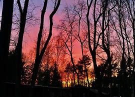 Zutendaal Forest Retreat