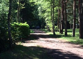 Zutendaal Forest Retreat