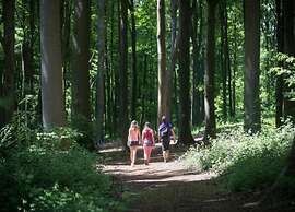 Zutendaal Forest Retreat