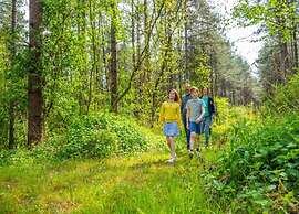 Zutendaal Forest Retreat