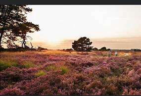 Zutendaal Forest Retreat