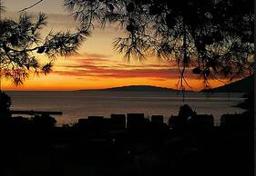 Olive-sunset Haven in Zuljana