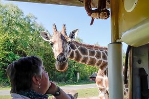 Luxuszelt im Serengeti Park