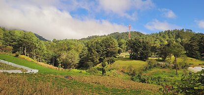 Hostal El Pital Lecho de Flores