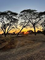 Safari junction backpackers hostel