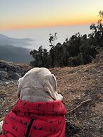 Echoes of the Himalayas