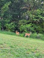#4 - Amish Log Camping Cabin Walk To The Water Cabin