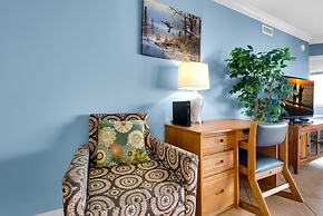 Destin West Bayside Osprey 502