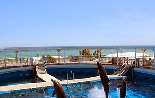 Destin West Bayside Osprey 502