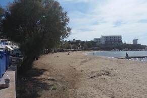 Old Town Traditional House