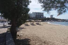 Old Town Traditional House