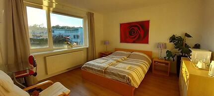 BB luxury villa free parking