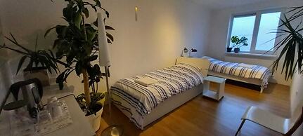 BB luxury villa free parking