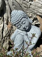 Kūkupa Matairangi at Akaroa Lavender