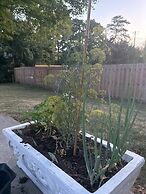 Luxury Modern Stay - 2000 Sqft