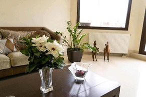 Villa Nostra- Cars Included