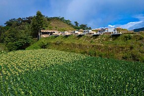 Stellar GoldenHill Cameron