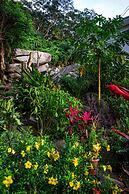 Wild Vanilla Apartment