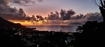 Wild Vanilla Apartment