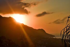 Wild Vanilla Apartment