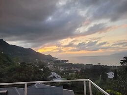 Wild Vanilla Apartment