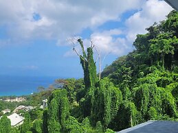 Wild Vanilla Apartment