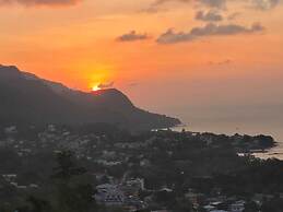 Wild Vanilla Apartment