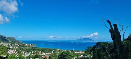 Wild Vanilla Apartment