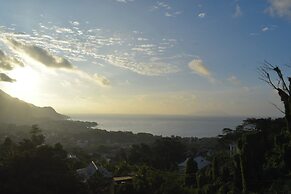 Wild Vanilla Apartment