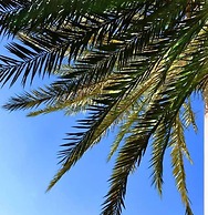 Charming Riad and Douiria Swimming Pool Private