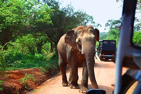 The Den at Yala