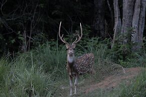 The Den at Yala