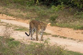 The Den at Yala