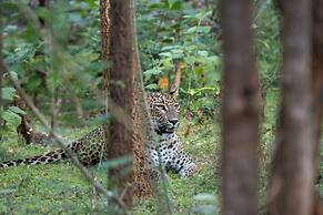 The Den at Yala