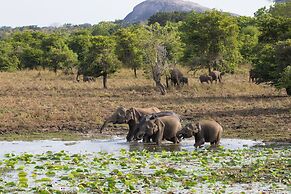 The Den at Yala