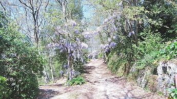 Villa Montecasciano - 8 Sleeps Private Garden