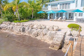 Midnight Runner in Islamorada