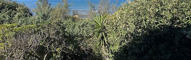 Villa Papini Seafront With 3 Apartments and Garden-rif Papi