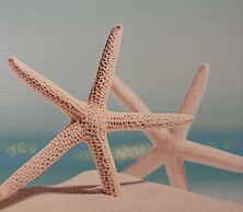 5 bed Places With Swimming Pool in the Area Coop-rif Stella Marina