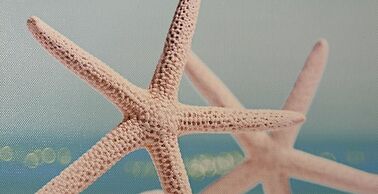 5 bed Places With Swimming Pool in the Area Coop-rif Stella Marina