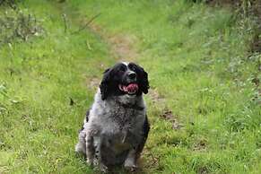 Courtyard Cottage With hot tub and Walled Garden