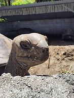 Roche Kerlan Apartments